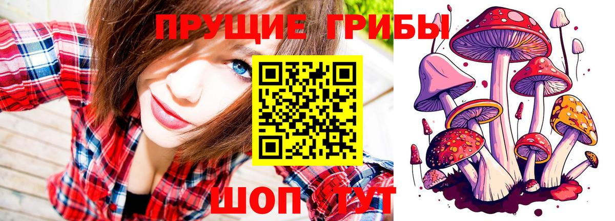 Бахчисарай  Псилоцибиновые грибы Psilocybine cubensis  Вход с VPN 